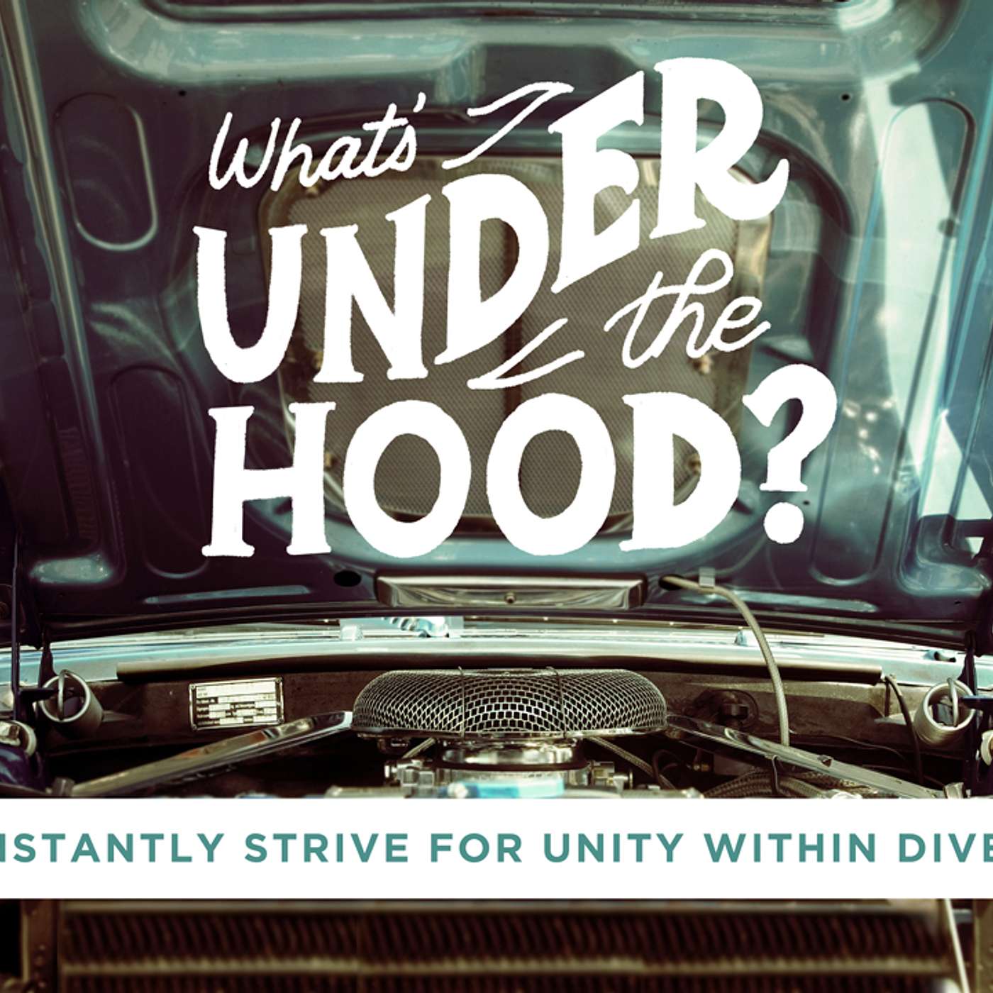 What's Under the Hood: We Constantly Strive For Unity In Diversity