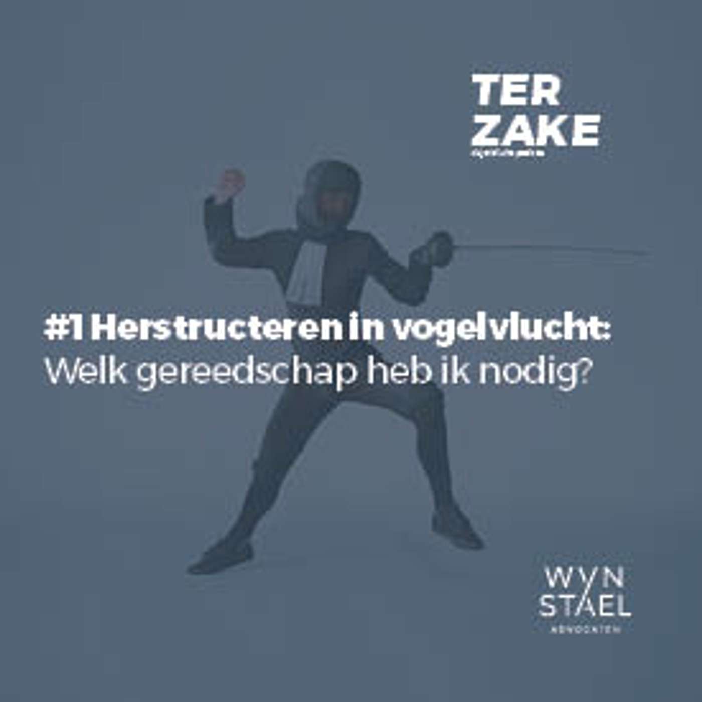 #9 Herstructureren in vogelvlucht: welk gereedschap heb ik nodig? Serie Herstructurering & Insolventie