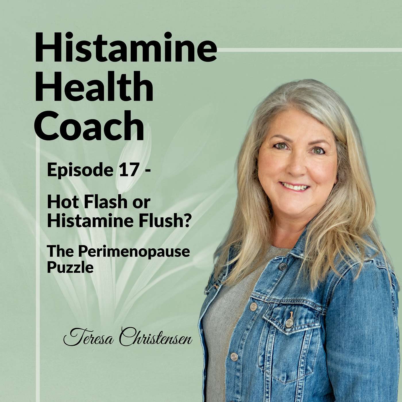 Episode 17 - Hot Flash or Histamine Flush? The Perimenopause Puzzle Episode 17 - Hot Flash or Histamine Flush? The Perimenopause Puzzle
