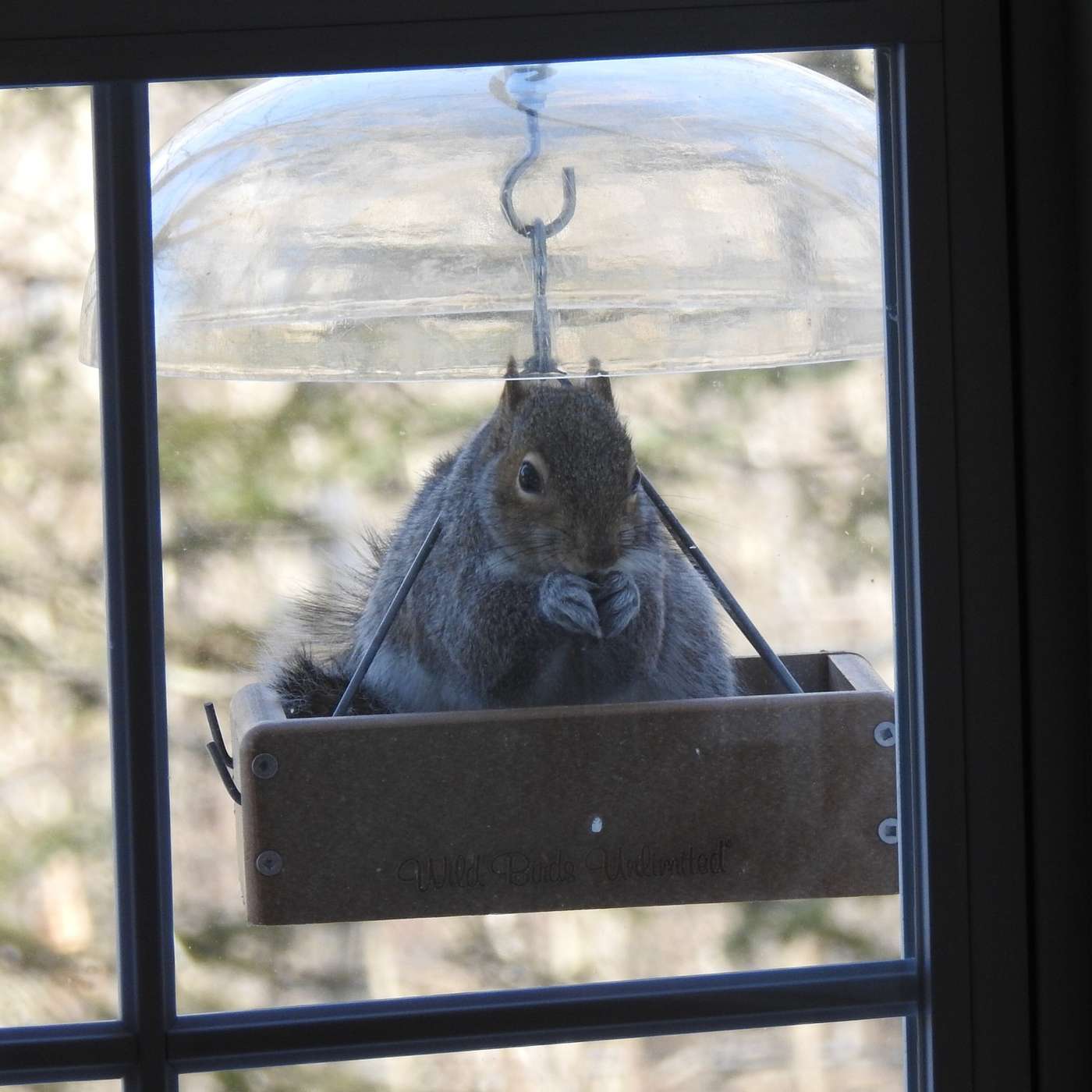 UNWELCOME GUESTS