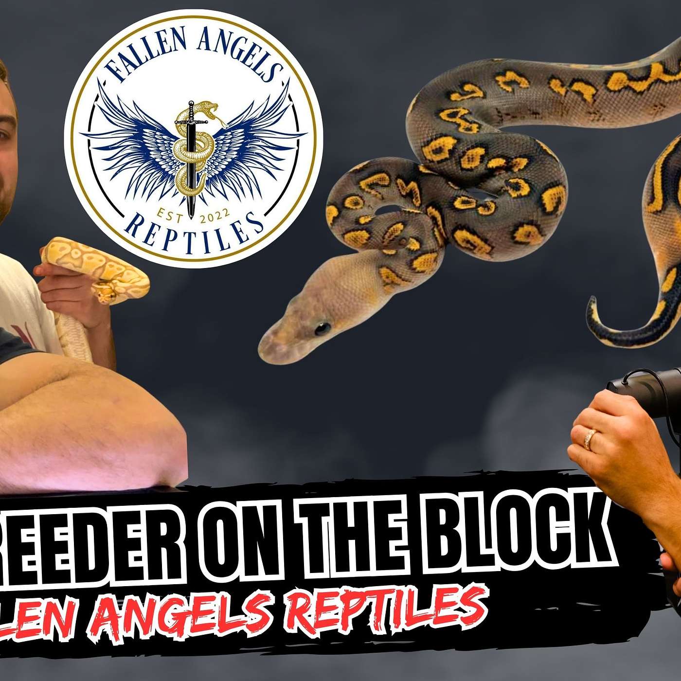 Finding Your Groove In The Ball Python Game | New Breeder On The Block episode artwork