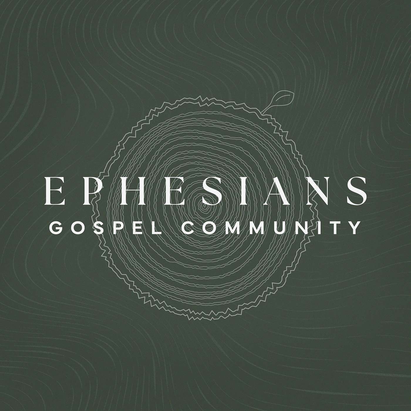 Gospel Warfare (Ephesians 6:10-24) episode artwork