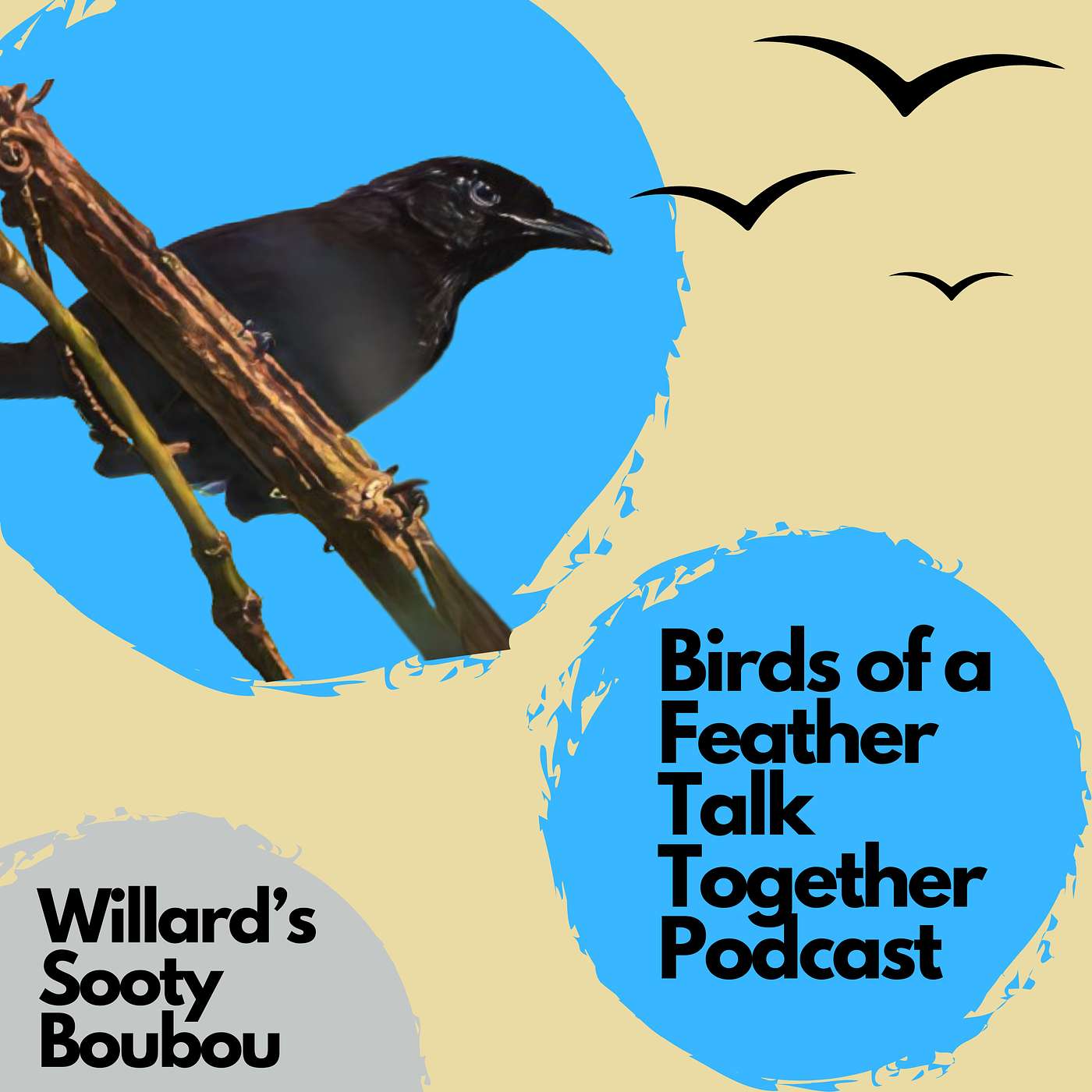 Birds of a Feather Talk Together