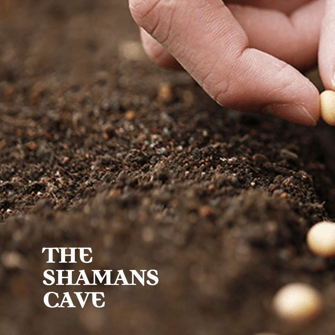 Planting Seeds of Love and Light into the Earth: Shamans Cave episode artwork