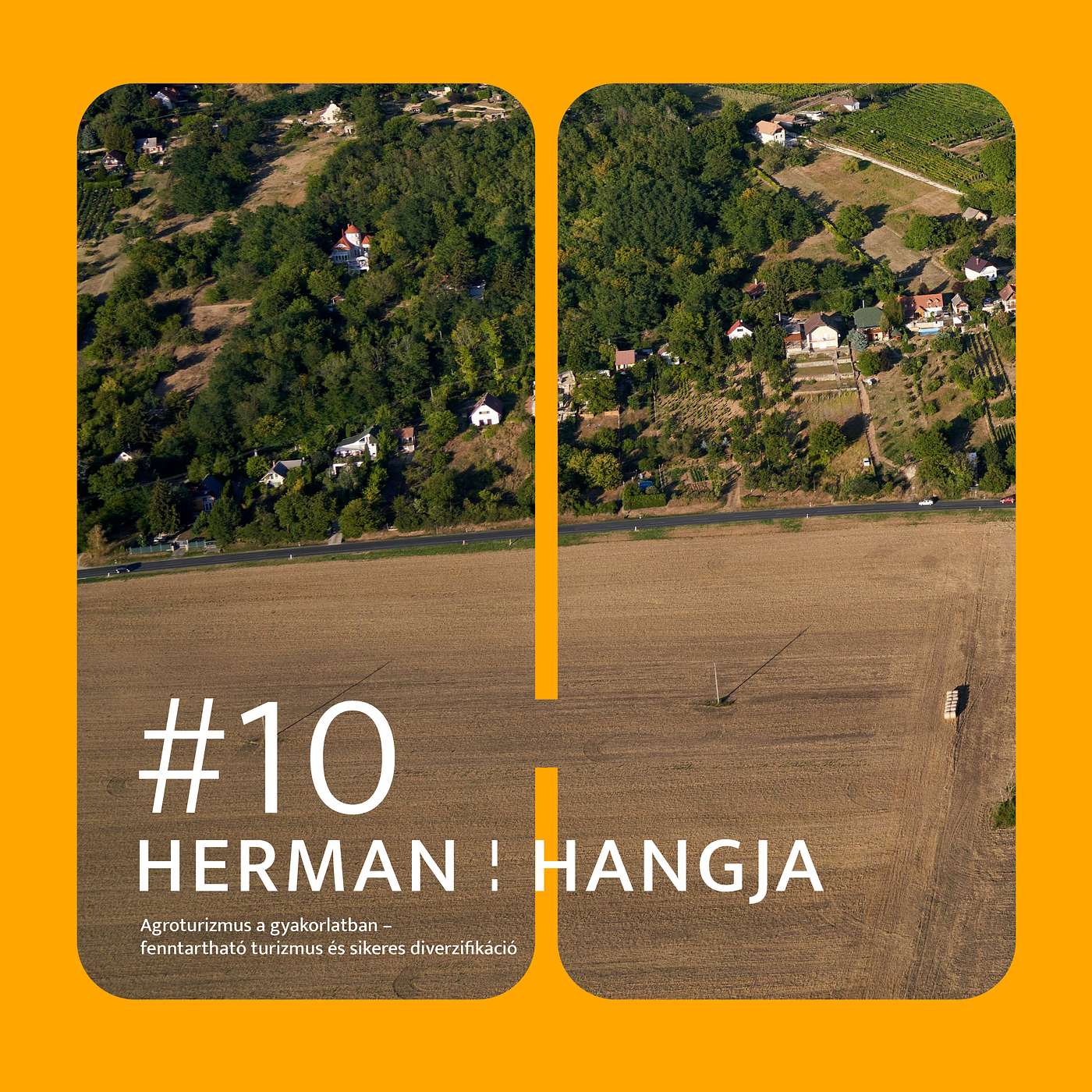 Herman hangja