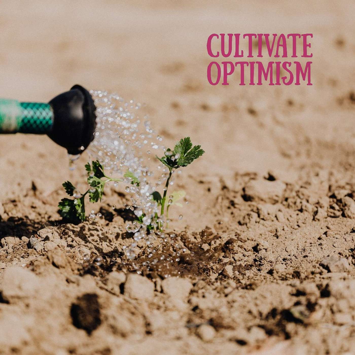 #100 Cultivate optimism episode artwork