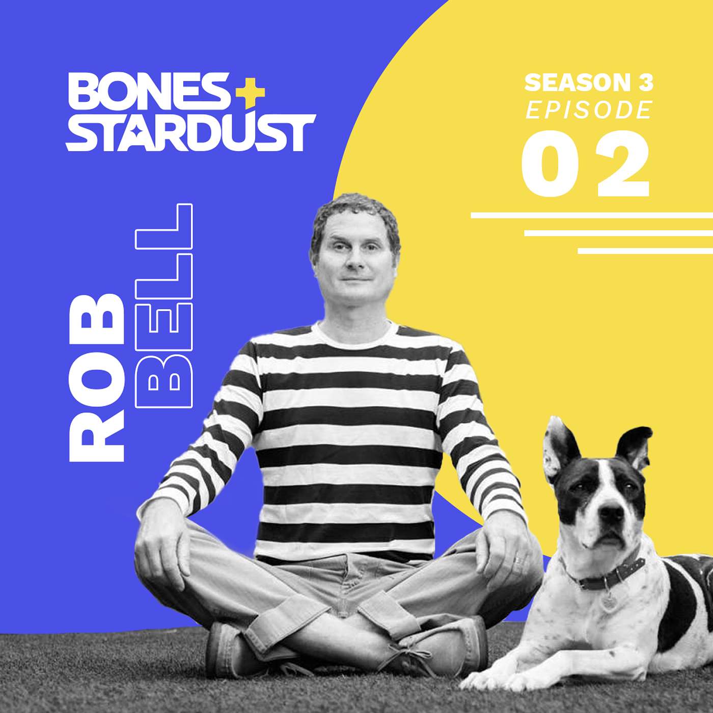 Bones and Stardust