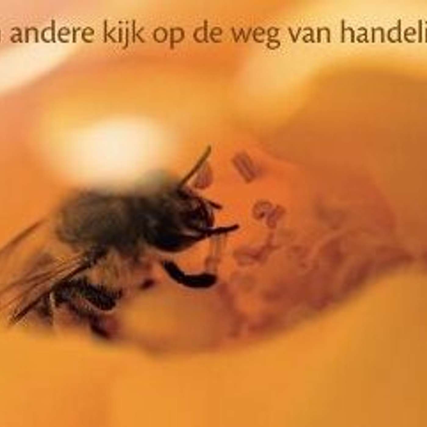 Zwaan & Meer