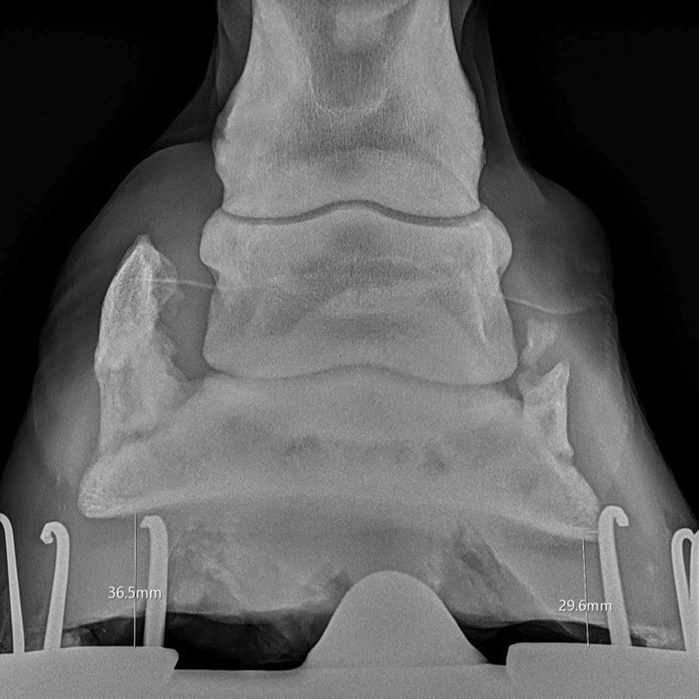 Episode 13 - Sidebone