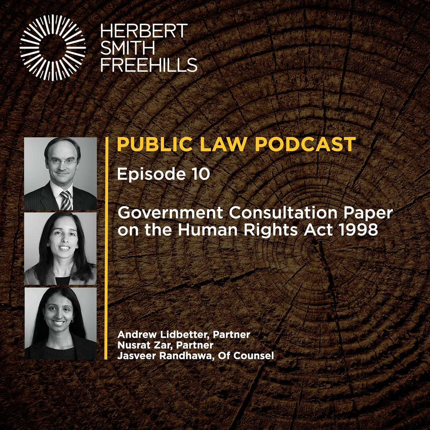 Public Law Podcast EP10: Government Consultation Paper on the Human Rights Act 1998 episode artwork
