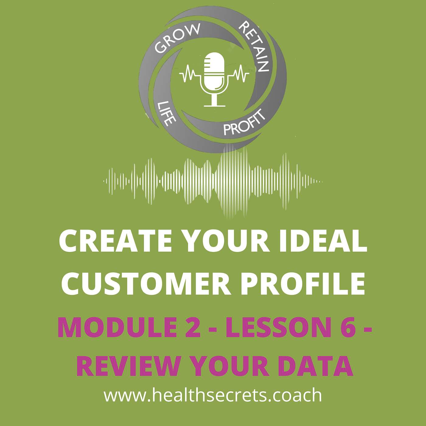 11. Create Your Ideal Patient Profile - Module 2 Lesson 6 - Review Your Data