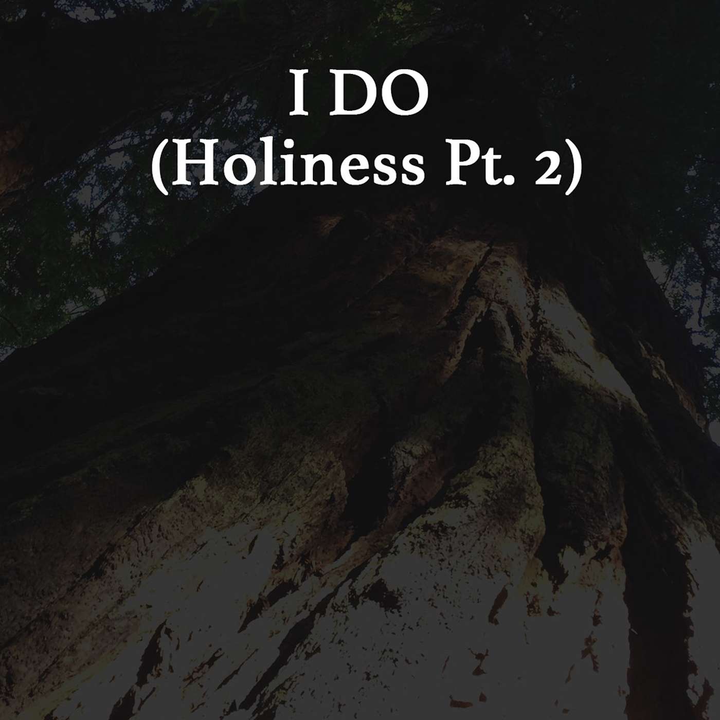 I Do (Holiness Pt. 2)