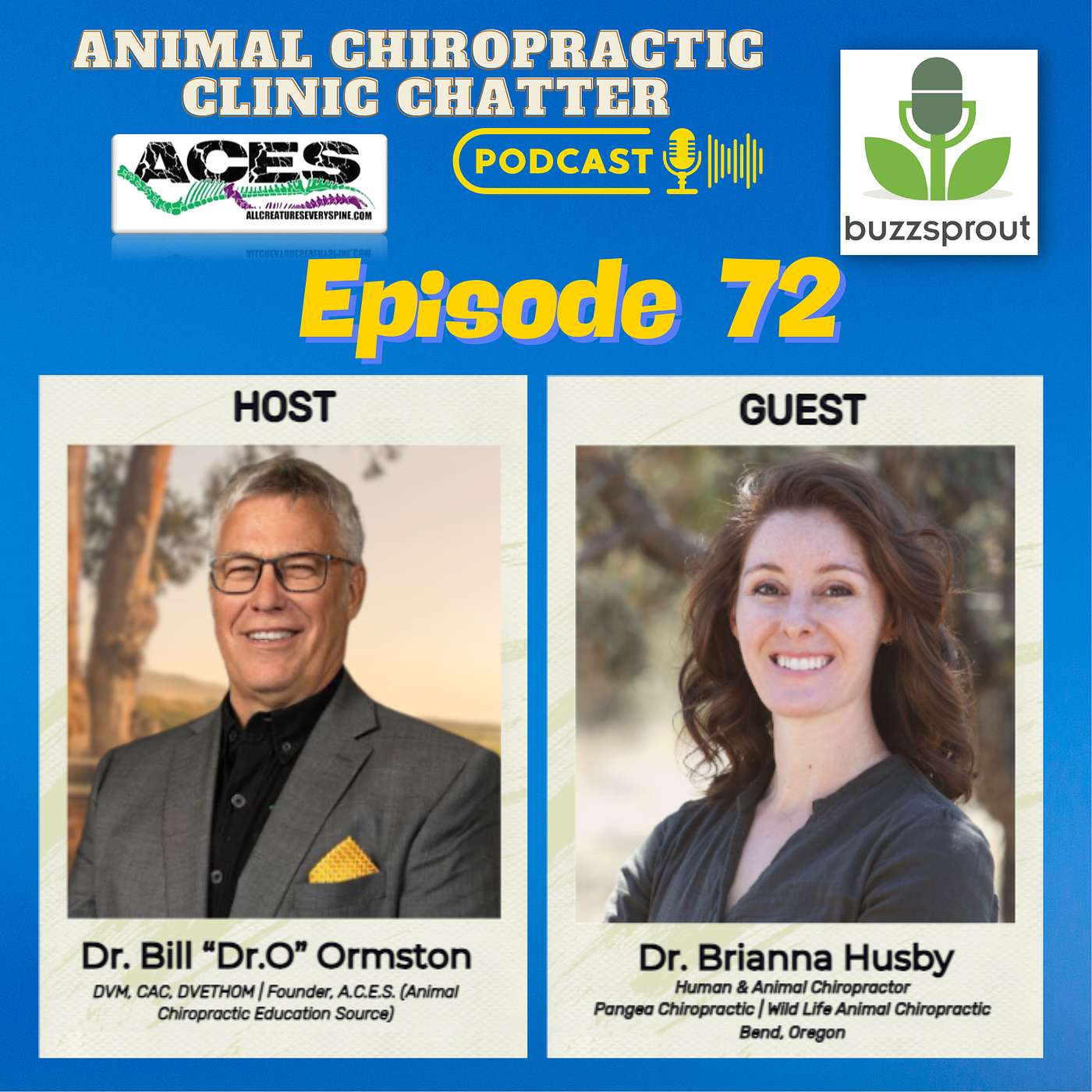 Animal Chiropractic Clinic Chatter