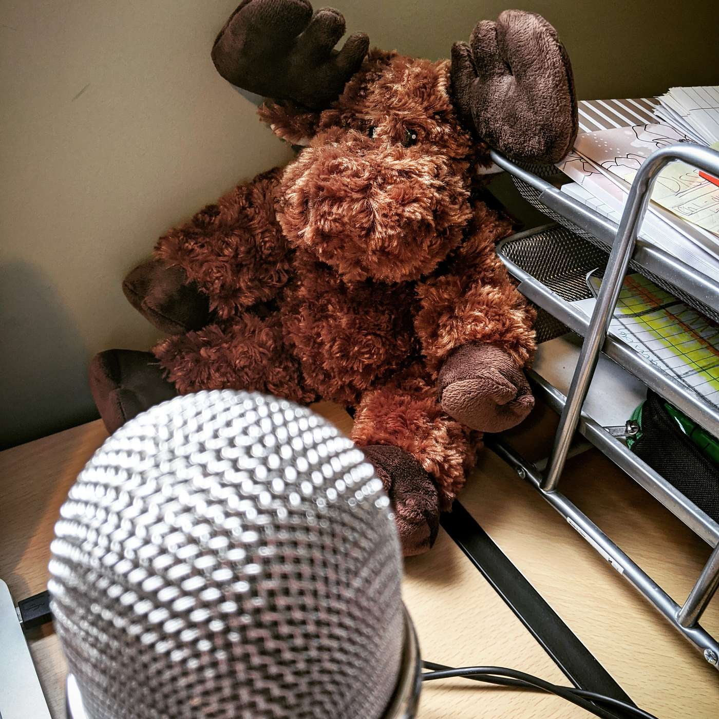 1.17 Listener Q&A / Catch-Up Episode!
