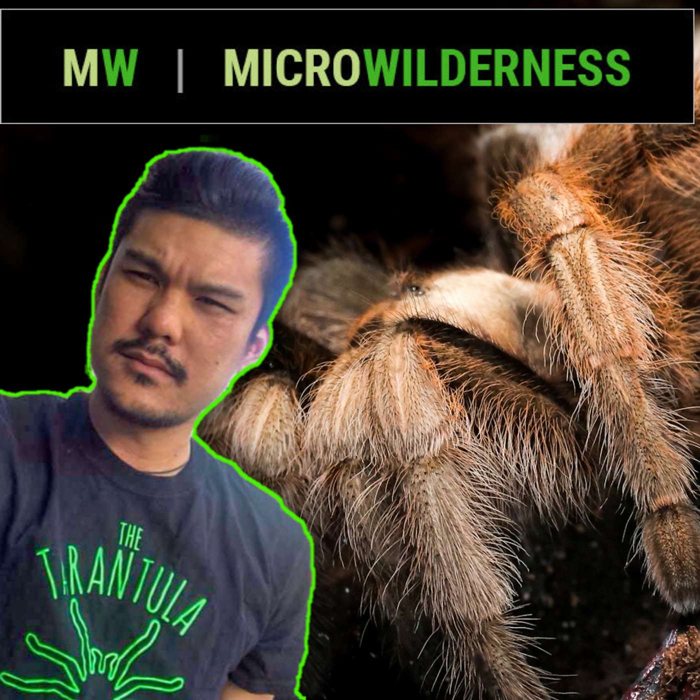 Breeding & Selling Tarantulas w/ Microwilderness