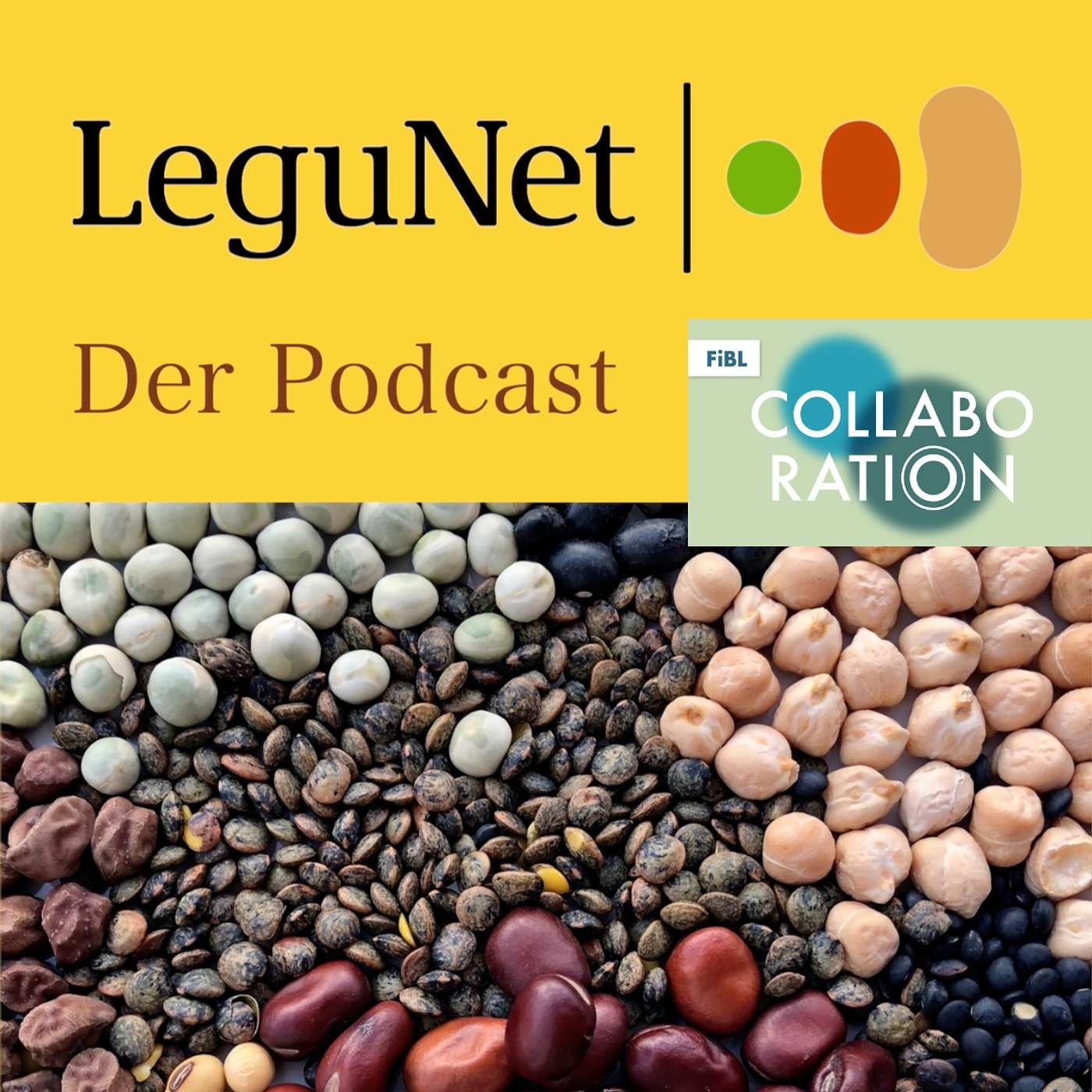 Leguminosennetzwerk: Körnerleguminosenanbau in Südeuropa