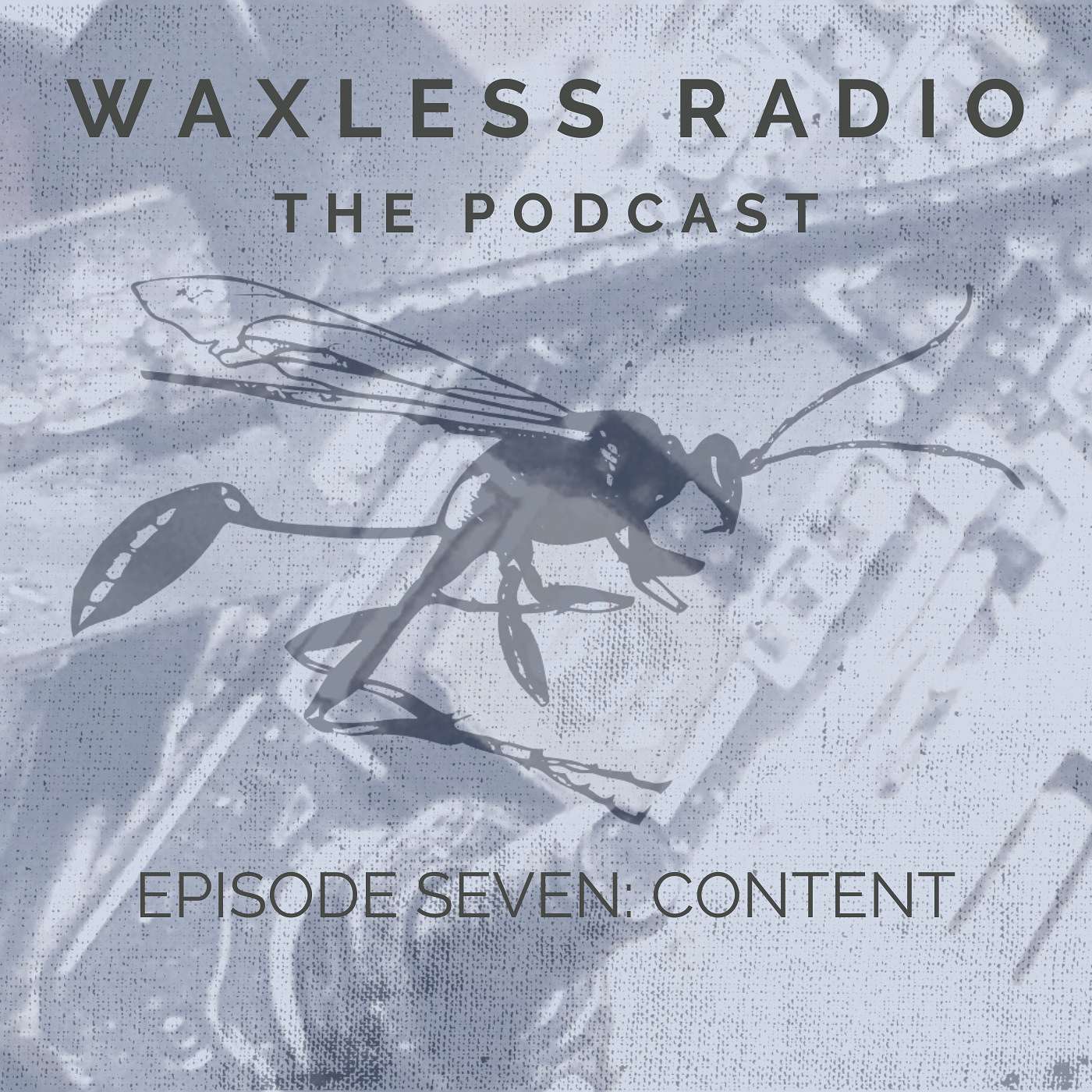 Waxless Radio: The Podcast