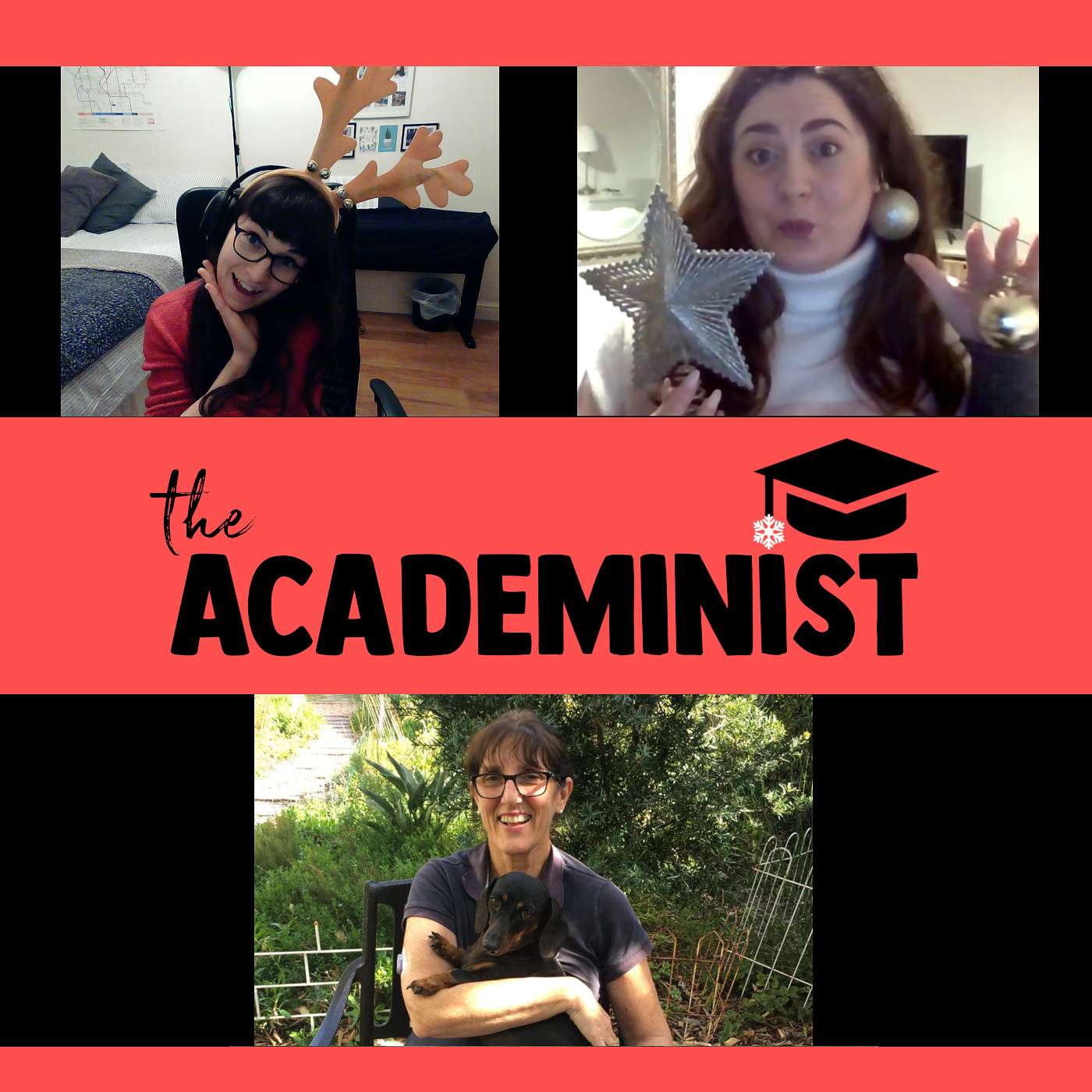 The Academinist