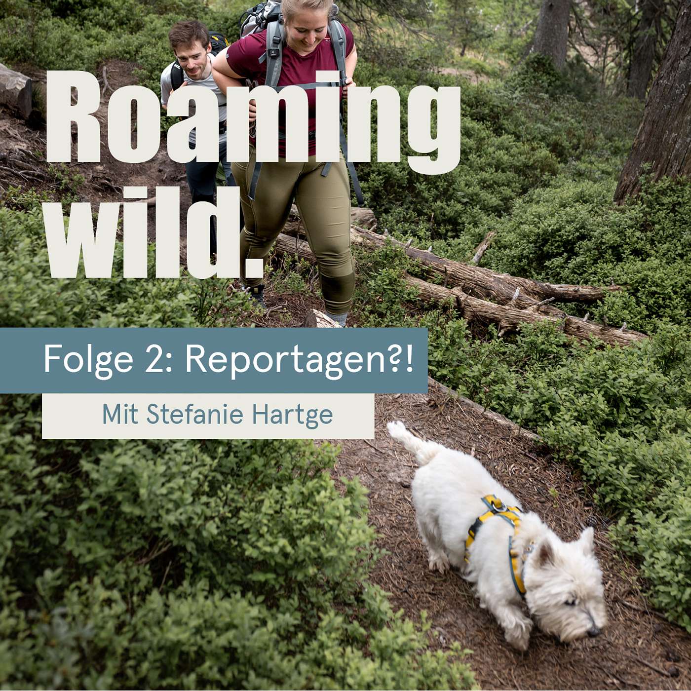 Roaming Wild - Outdoorerlebnisse und Fotografie mit Hund