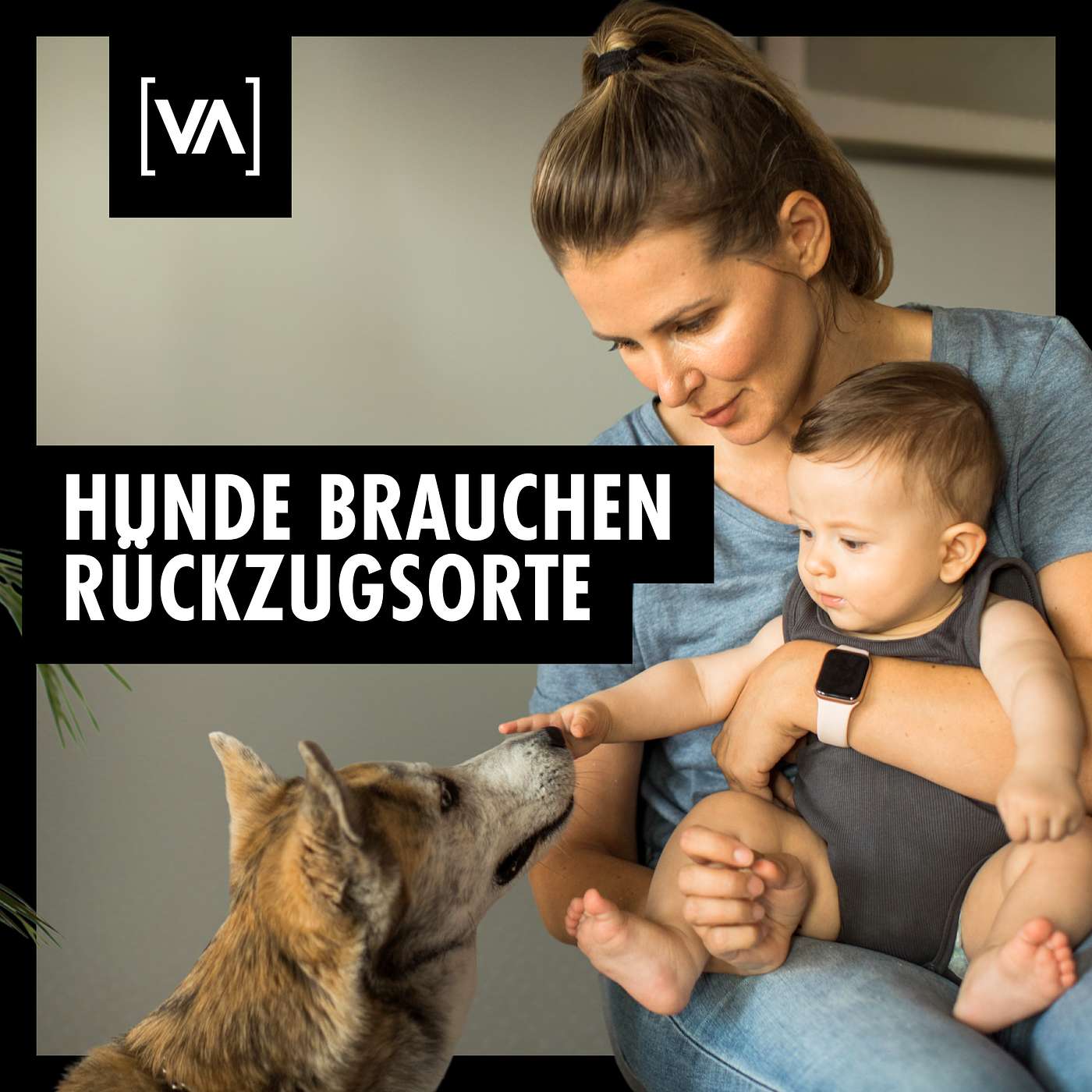 Die Rolle des Hundes in der Familie | Hunde als Teil der Familie: Ein kontroverses Thema