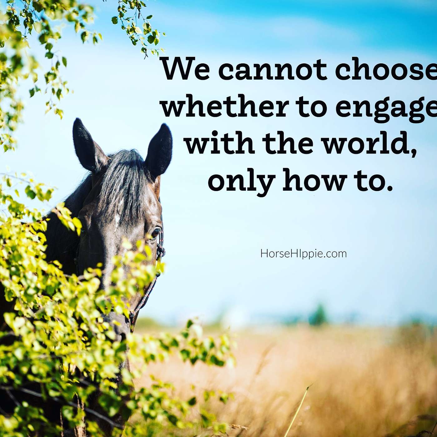 How We Engage With The World