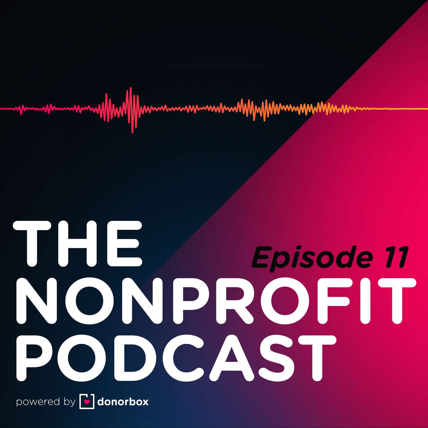 The Nonprofit Podcast