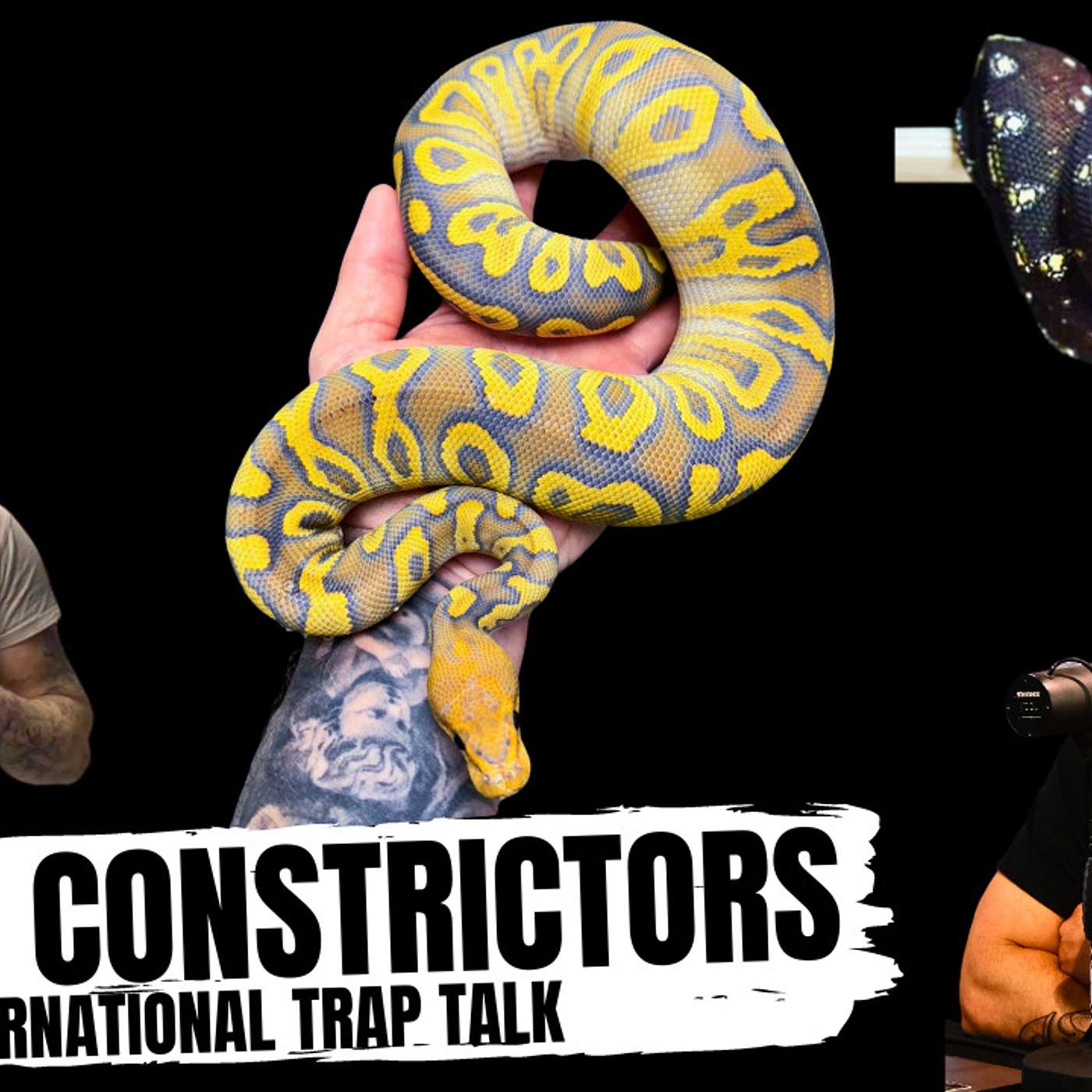Dialing back on Ball Pythons & focusing more on passion projects | INTL Trap Talk | Full Video