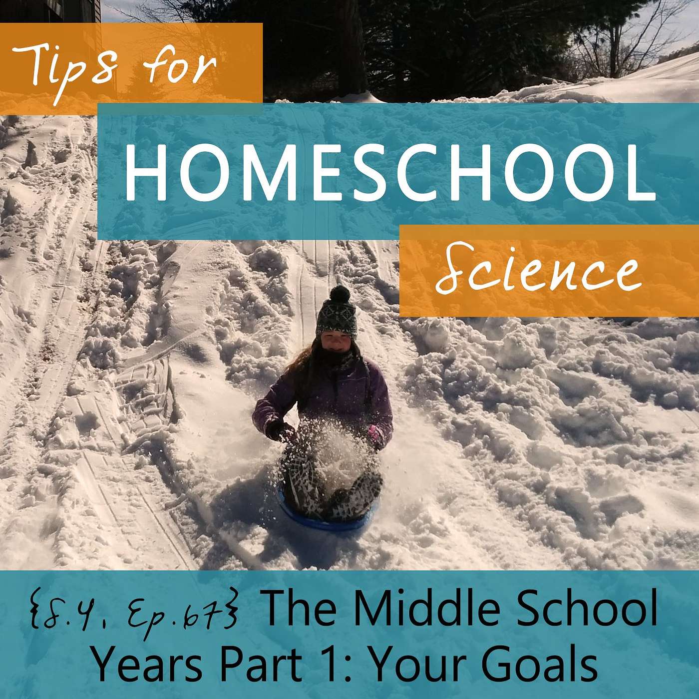 Tips for Homeschool Science Podcast from Elemental Science