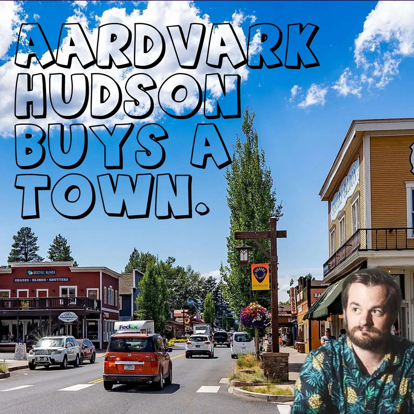 Aardvark Hudson Buys A Town.