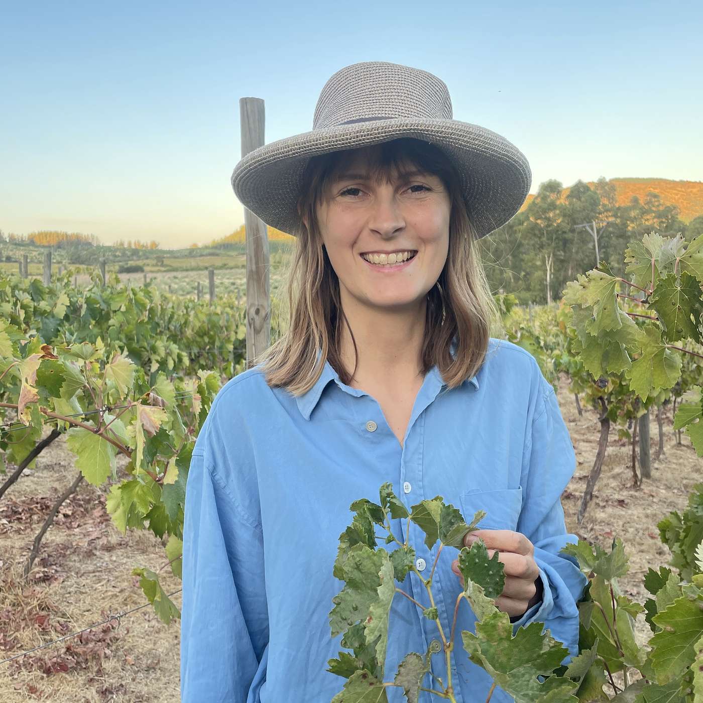 437 Abby Rose - Storytelling in Regenerative Agriculture: Who Funds Stories That Shift Systems?