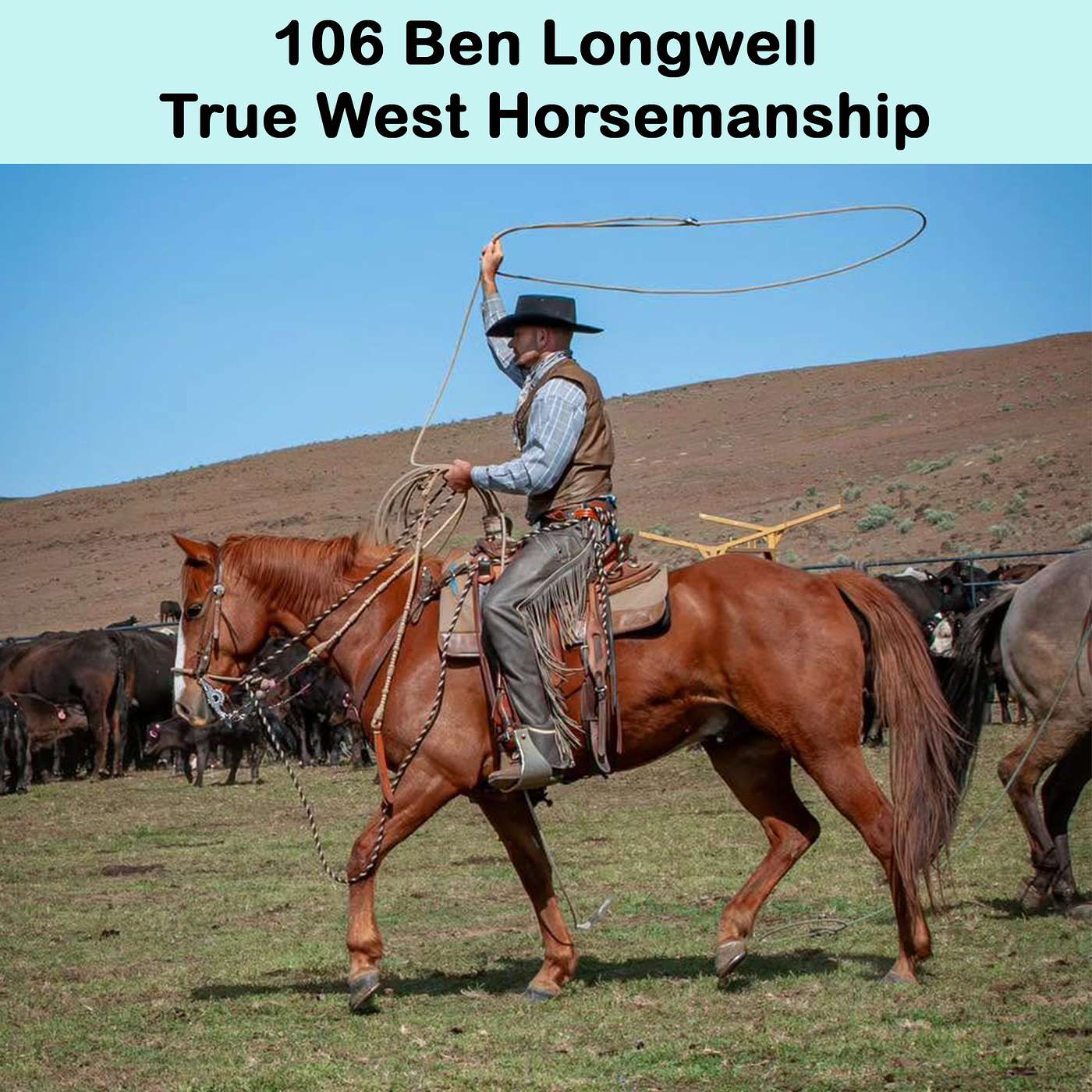 Adult Onset Horsemanship
