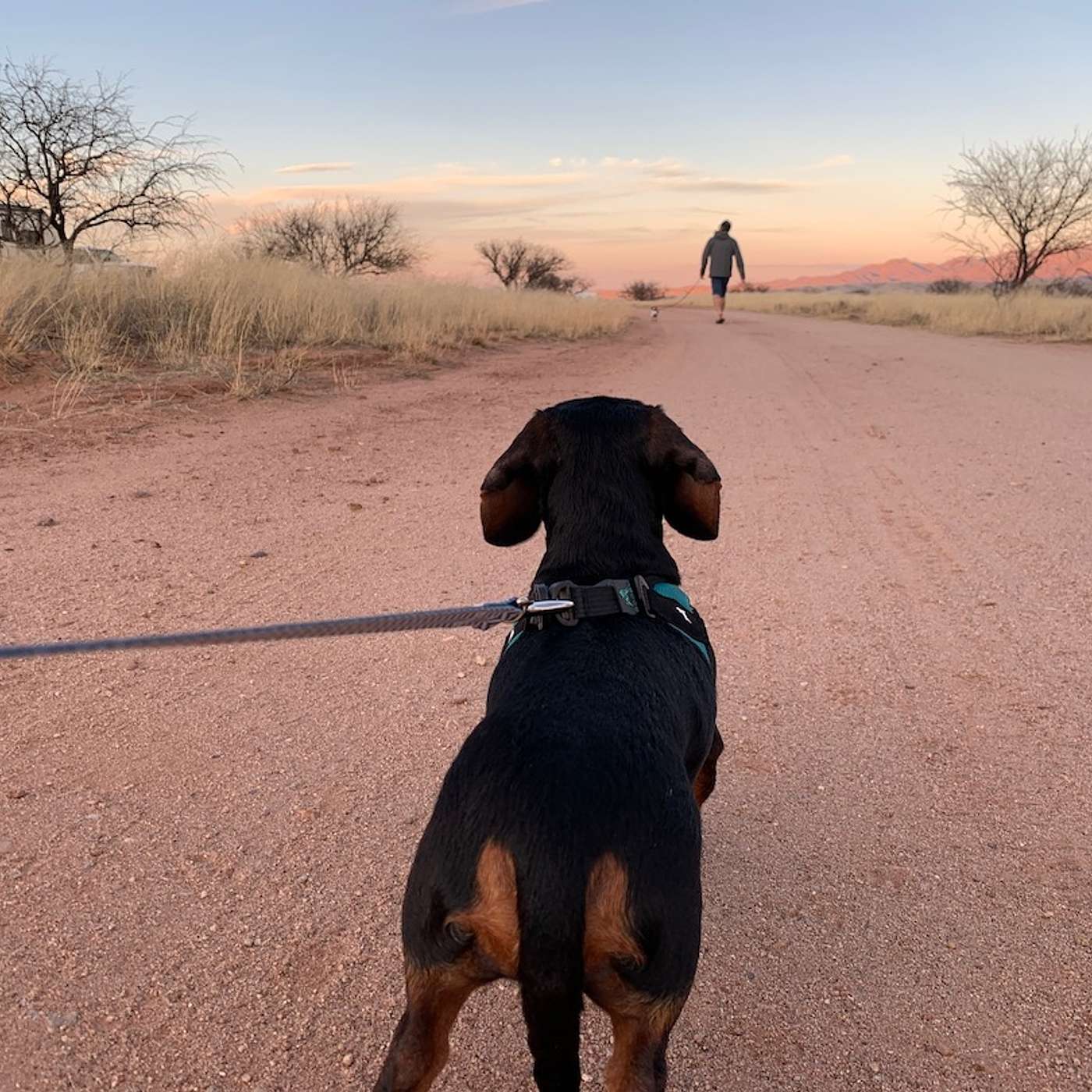 Boondachshunds Top 10: How We Save Money On The Road