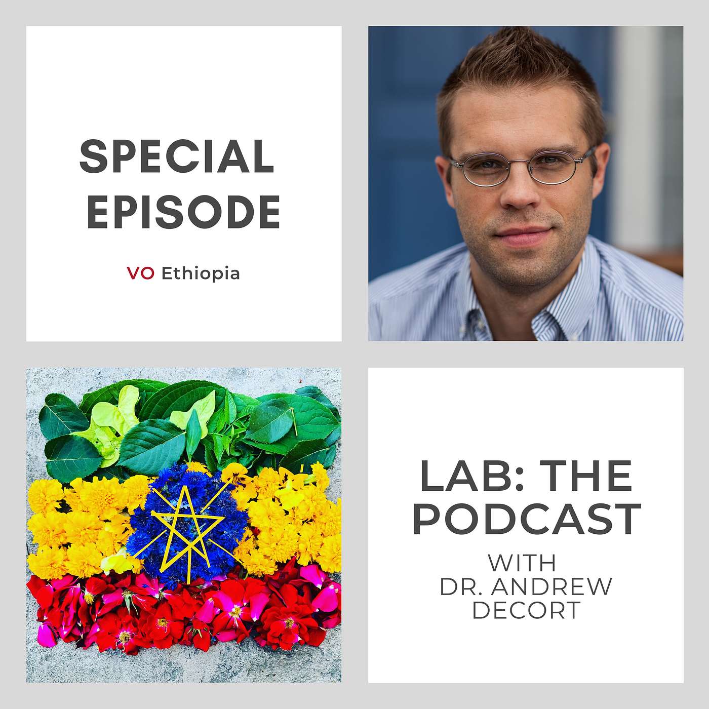 LAB the Podcast