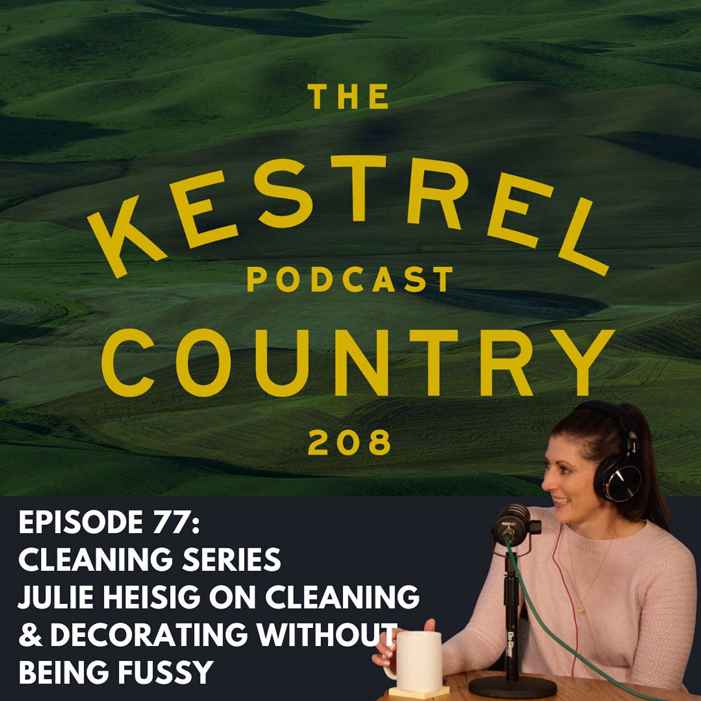 Cleaning Series - Julie Heisig on Cleaning & Decorating without being Fussy