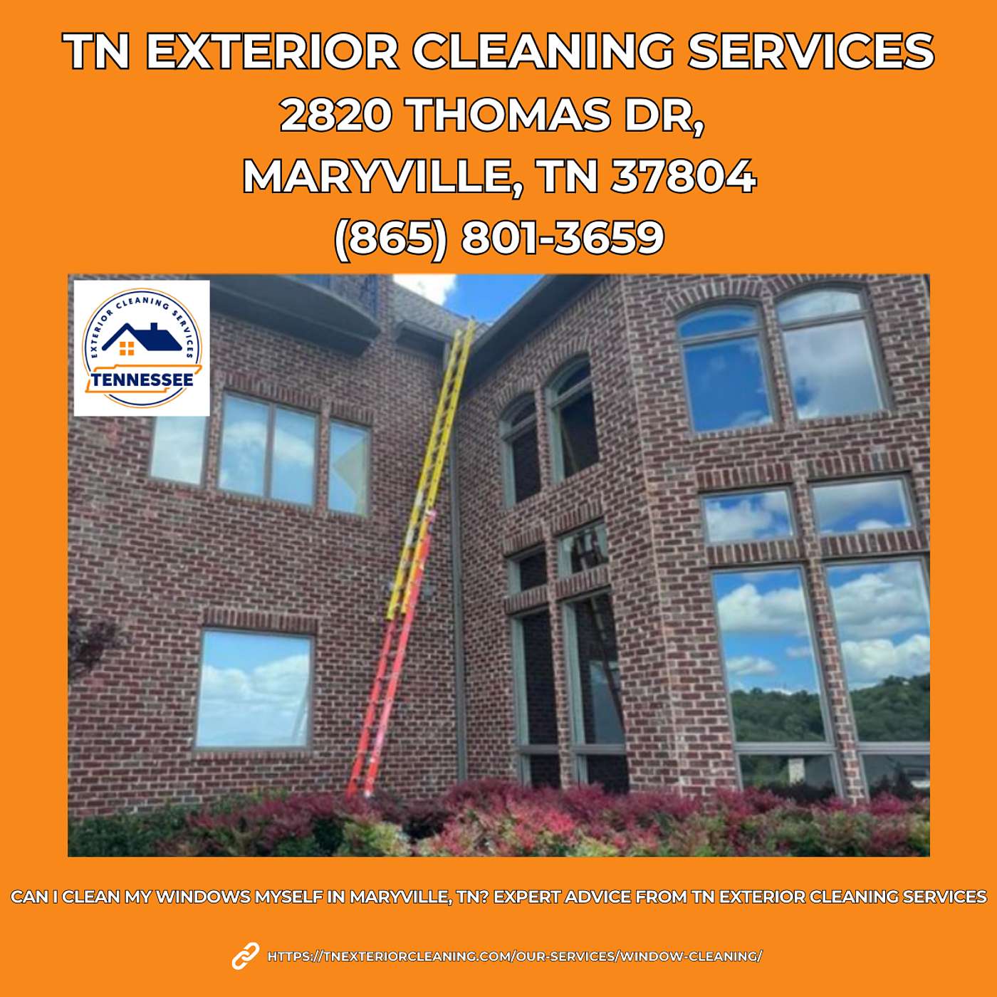 Can I Clean My Windows Myself in Maryville, TN? Expert Advice From TN Exterior Cleaning Services episode artwork