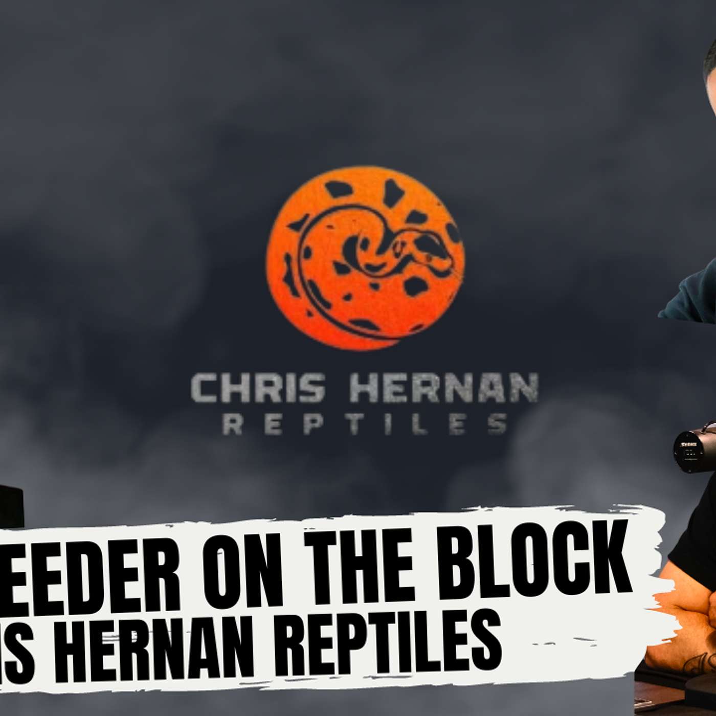 BALL PYTHON MORPHS YOU CAN'T IGNORE | NEW BREEDER ON THE BLOCK W/ CHRIS HERNAN REPTILES