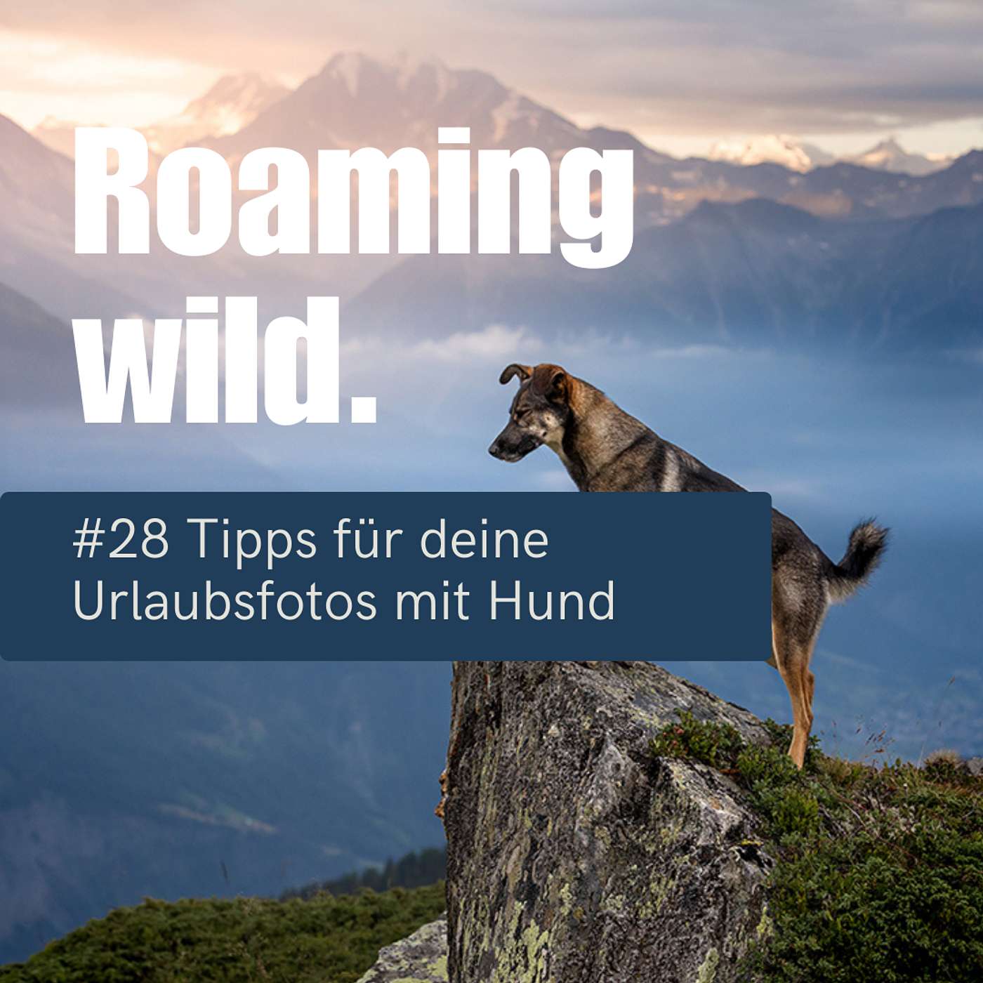Roaming Wild - Outdoorerlebnisse und Fotografie mit Hund