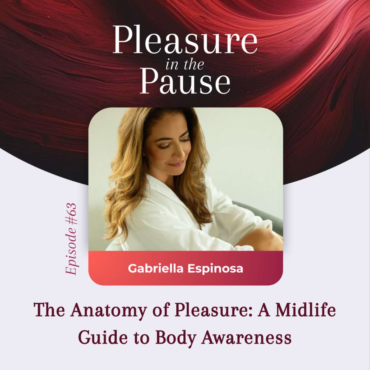 Pleasure In The Pause: Smart, Sexy Midlife Conversations about Menopause, Hormones & Female Pleasure