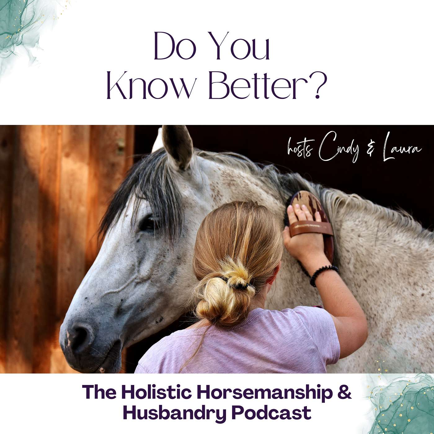 The Holistic Horsemanship and Husbandry Podcast