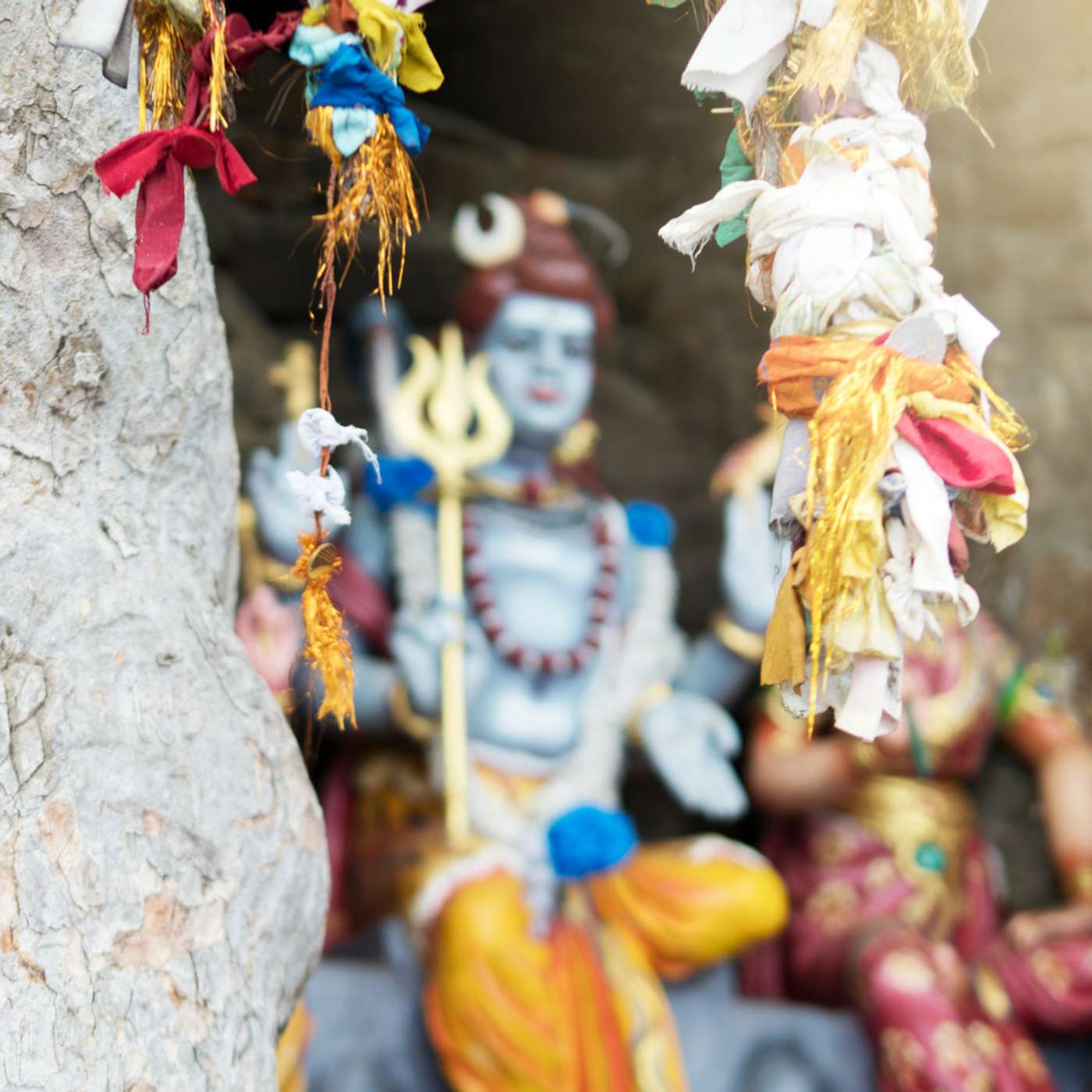 Kerry Shamblin Vedic Astrology