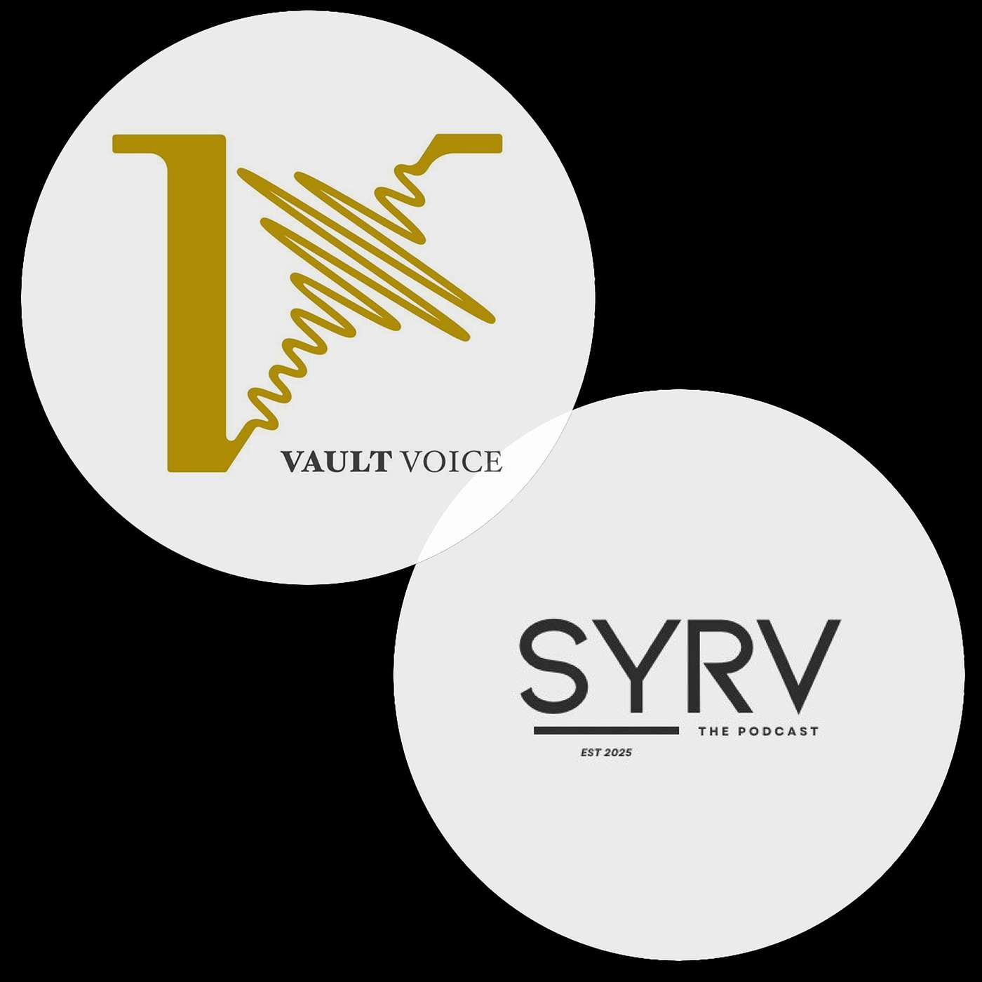 Vault Voice