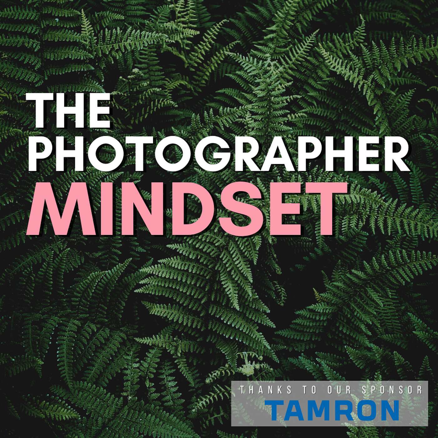 4 Ways We're Integrating AI to Make Our Photography Practice More Efficient