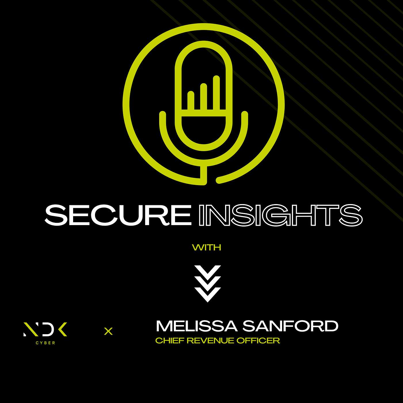 Secure Insights with NDK Cyber