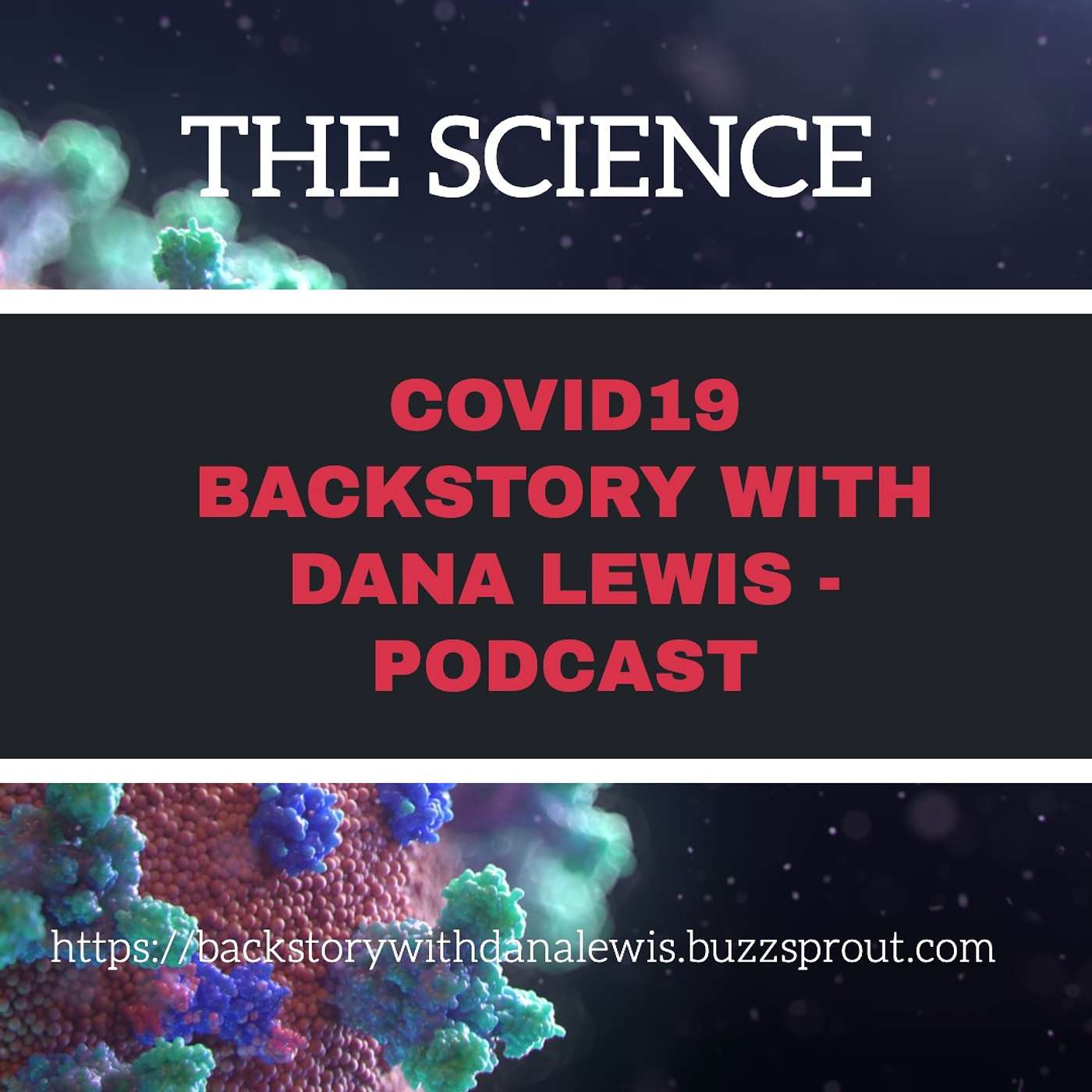 BACK STORY WITH DANA LEWIS