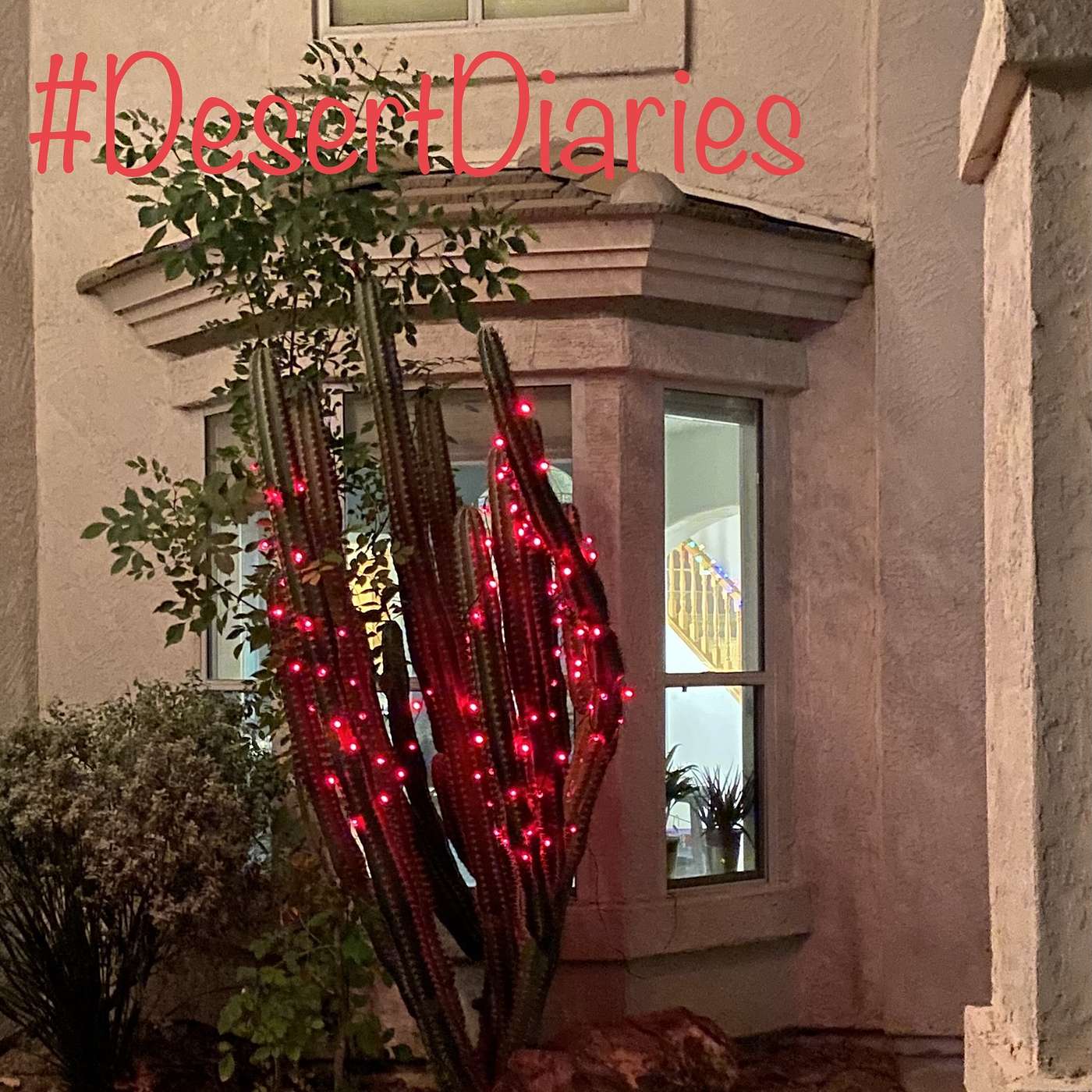 Merry Christmas from the desert!