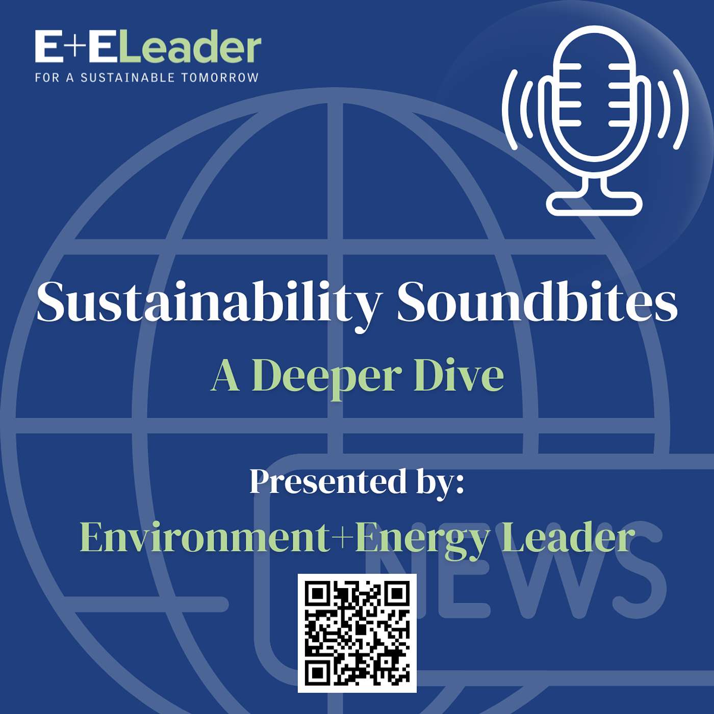 Sustainability Soundbites, a Deeper Dive: Q1 Reality Check for Capital and Risk Leaders episode artwork