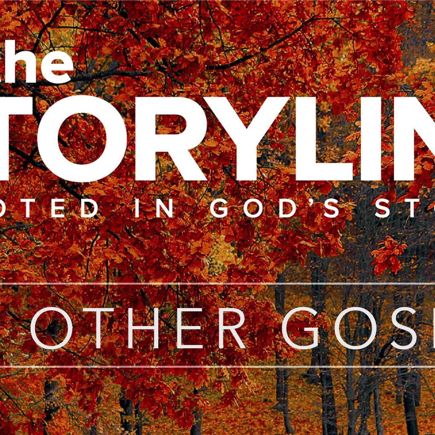 The Storyline | Confronting Racism-Knowing and Living the Gospel (Audio) episode artwork