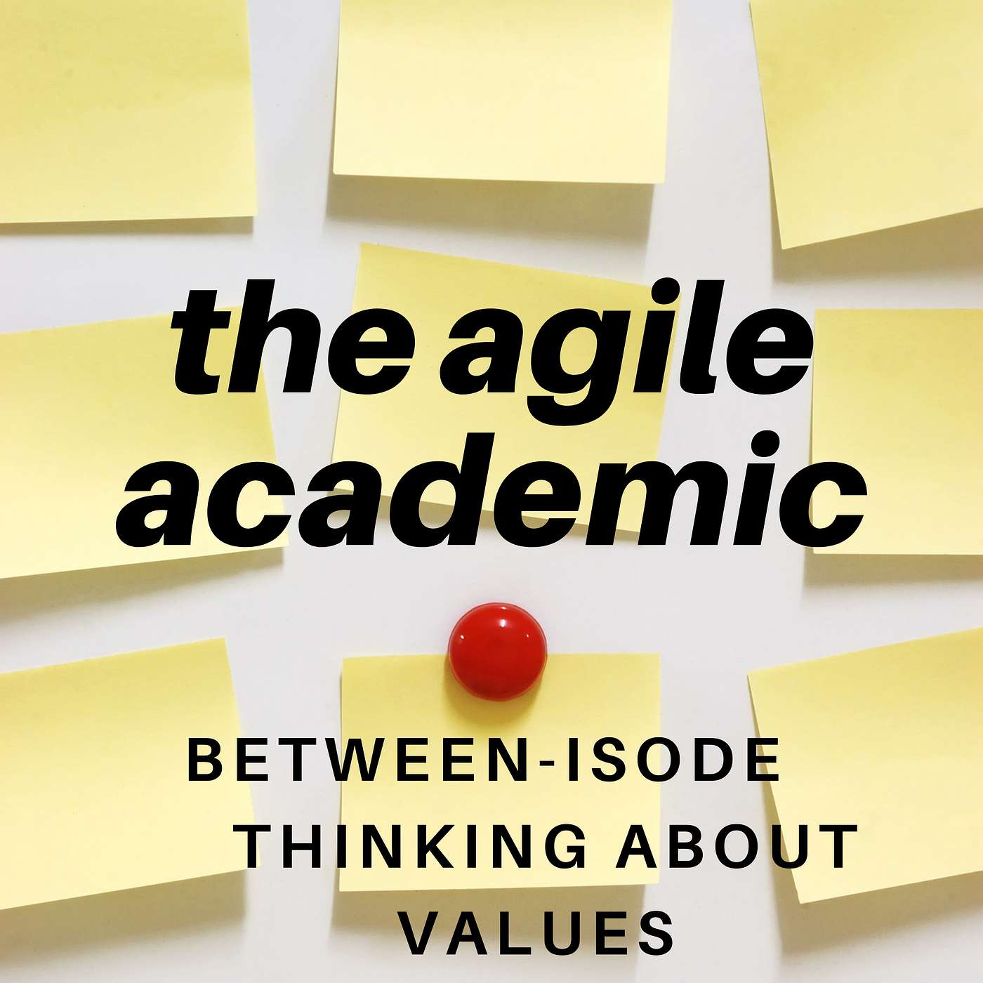 the agile academic