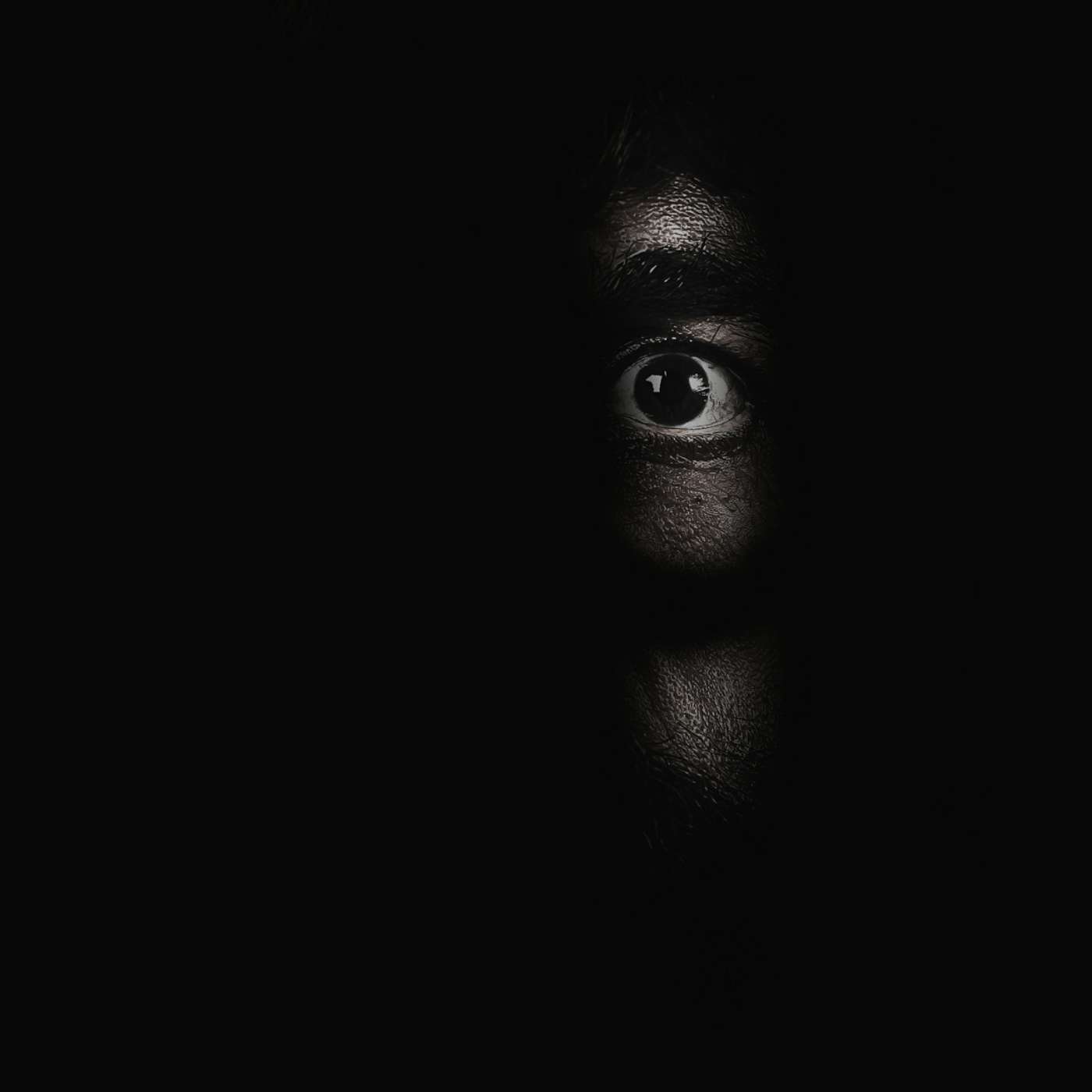 The Path, Step Two: Wise Mindfulness