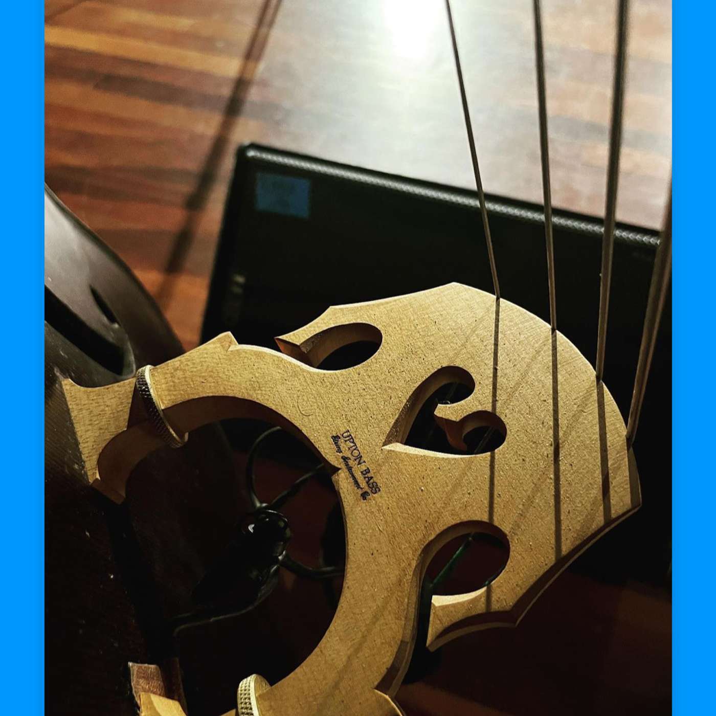 Bass Foundations - Your pickup, your bass and your Acoustic Sound with Gary Upton